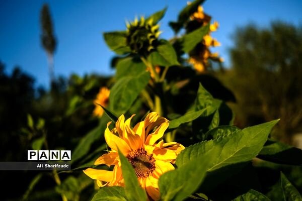 سفر به منطقه کوهستانی  البرز مرکزی