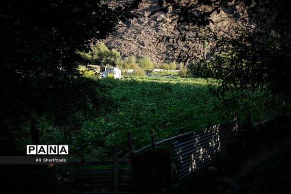 سفر به منطقه کوهستانی  البرز مرکزی