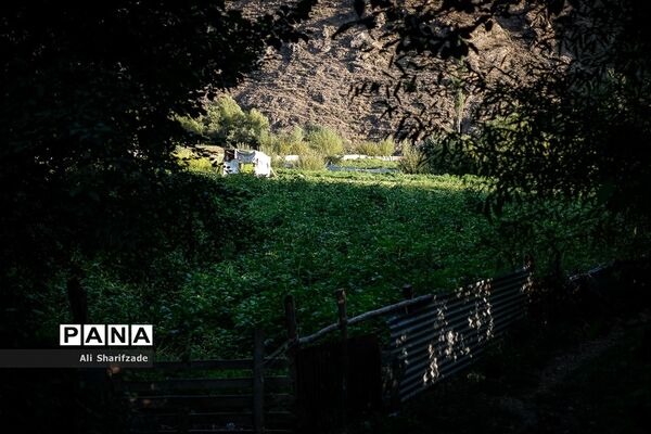 سفر به منطقه کوهستانی  البرز مرکزی