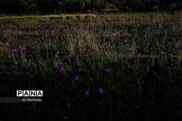 سفر به منطقه کوهستانی  البرز مرکزی