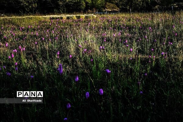 سفر به منطقه کوهستانی  البرز مرکزی