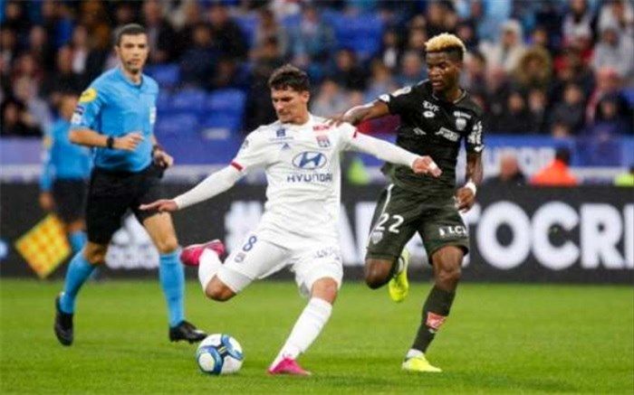 لیون و کابوس جغدهای بد یُمن