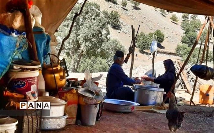 تولید سالانه 25 هزار تن گوشت قرمز توسط عشایر در فارس