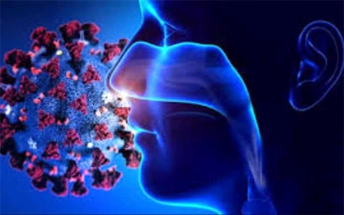 فوت ۵ بیمار مبتلا به ویروس کرونا در استان اردبیل