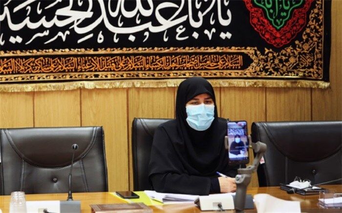 گفتگوی مجازی معاون ابتدایی وزارتخانه با مدیران مدارس ابتدایی شهر تهران