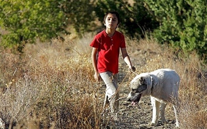 از «تشخیص قتل» تا «نوری در اقیانوس» در شبکه های سیما