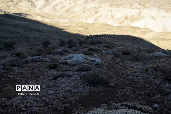 صعود به قله رُنج توسط فرهنگیان فارس