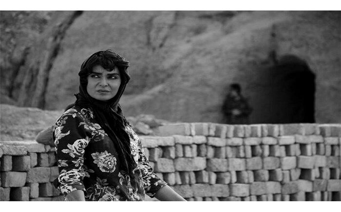 جایزه ای که تاکنون سینمای ایران نگرفته بود