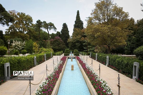 باغ ارم  شیراز