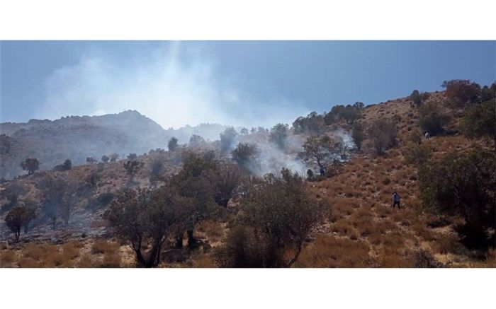 بی احتیاطی بَنِه چین‌ها و نابودی 15 هکتار پوشش جنگلی نی‌ریز در آتش