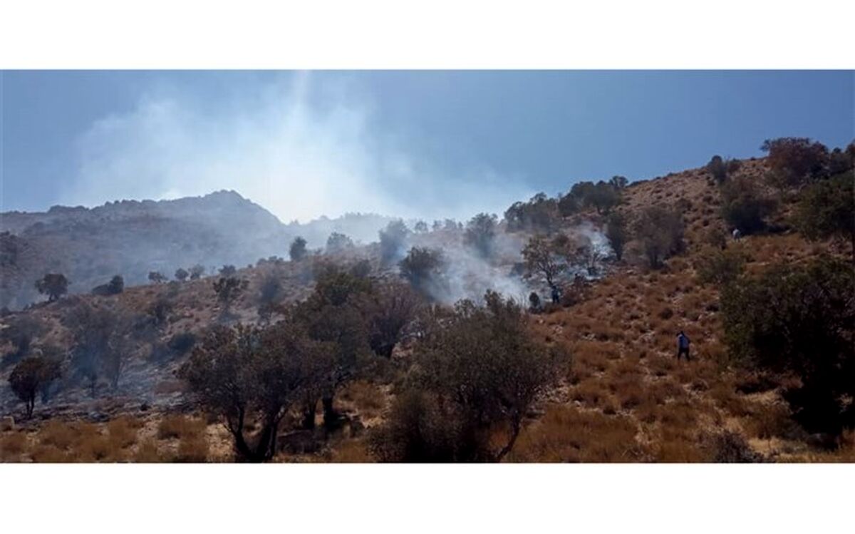 بی احتیاطی بَنِه چین‌ها و نابودی 15 هکتار پوشش جنگلی نی‌ریز در آتش
