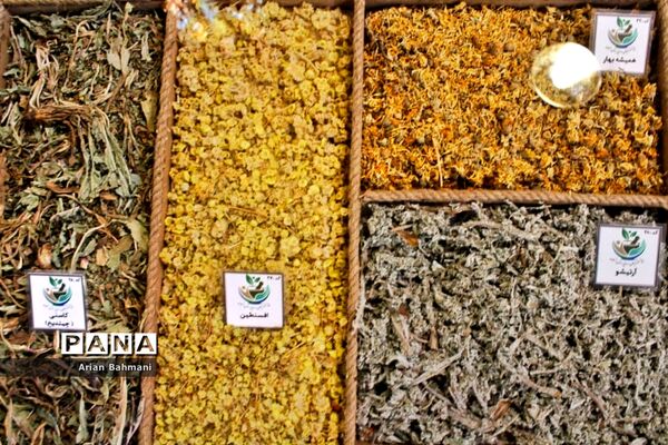 باغ موزه گیاهان دارویی و معطر استان زنجان