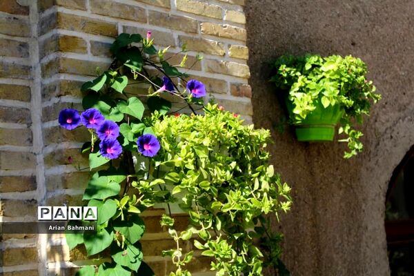 باغ موزه گیاهان دارویی و معطر استان زنجان