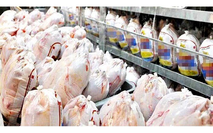 قیمت مرغ در بازار به کیلویی ۲۰ هزار تومان رسید
