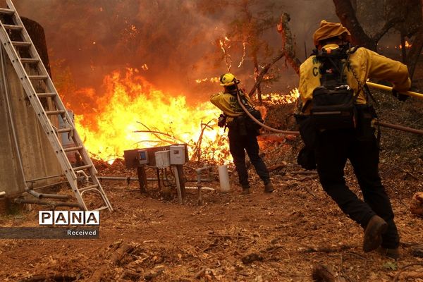 آتش سوزی در کالیفرنیا