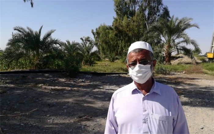 برداشت 500 تن محصول کشاورزی از یک زمین سنگلاخی در ایرانشهر