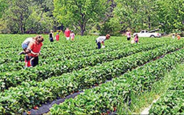 فرش قرمز روستاها جلوی پای توریست‌ها