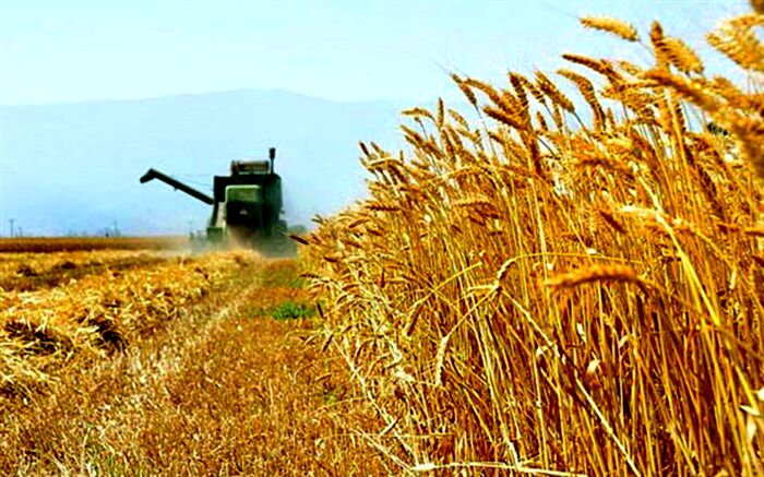 چه کسانی قیمت تضمینی «محصولات استراتژیک» را تعیین می‌کنند؟