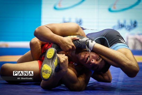 لیگ برتر کشتی آزاد