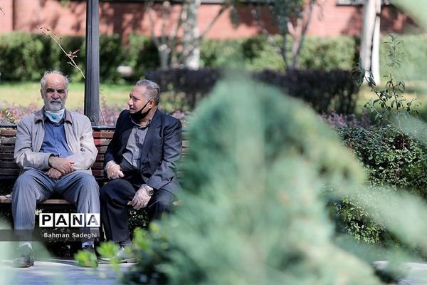 ماسکی برای چانه !