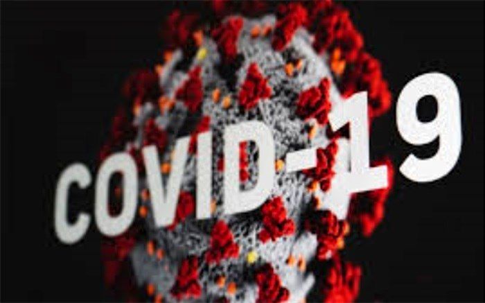 رئیس دانشگاه علوم پزشکی شیراز: فرمانداران نظارت بر رعایت اصول بهداشتی را افزایش دهند