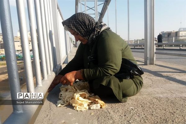 چهارشنبه ها با کارون  و کاکایی