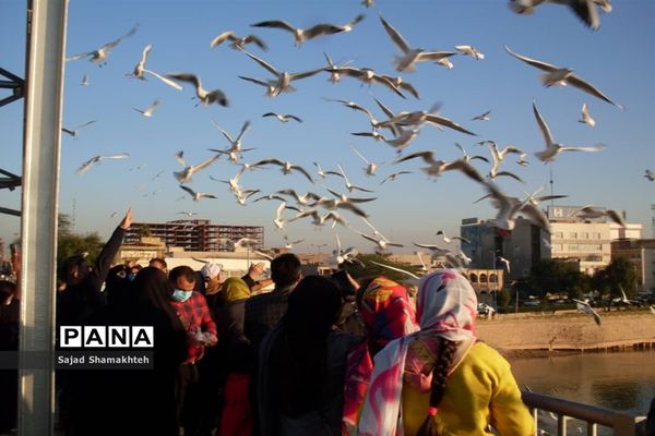 چهارشنبه ها با کارون  و کاکایی