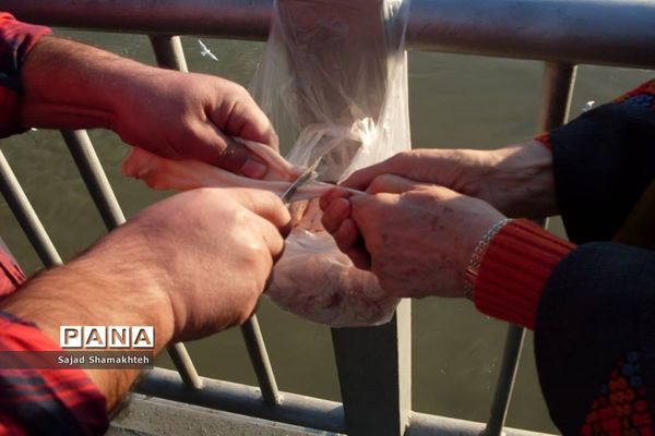 چهارشنبه ها با کارون  و کاکایی