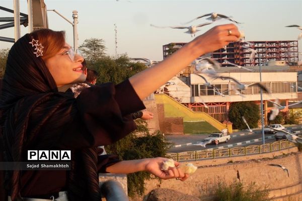 چهارشنبه ها با کارون  و کاکایی