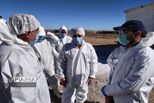 بازدید از عملیات معدوم سازی مرغداری درگیر با بیماری  آنفولانزا درشهرستان خوسف استان خراسان جنوبی