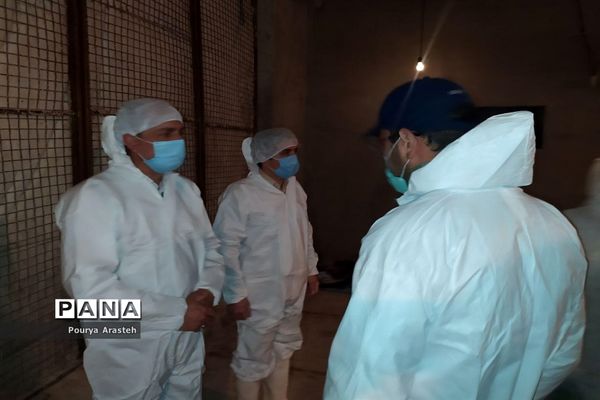 بازدید از عملیات معدوم سازی مرغداری درگیر با بیماری  آنفولانزا درشهرستان خوسف استان خراسان جنوبی