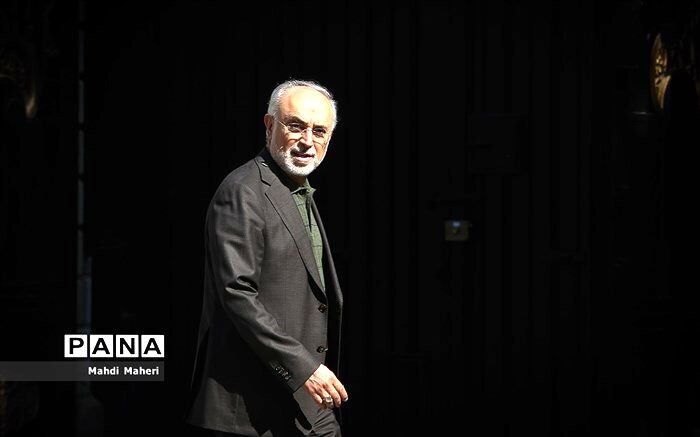 صالحی: بی‌اعتمادی ما به آمریکا براساس واقعیت‌هاست