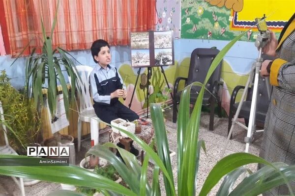 نمایشگاه وجشنواره مجازی محیط زیستی کاشمر