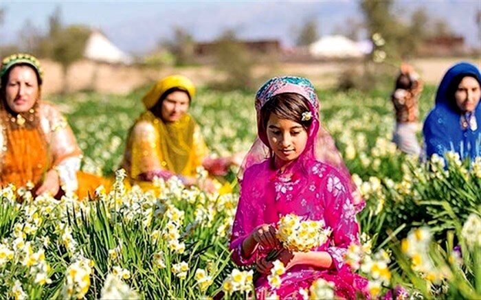 از کاربری دوم مزارع برای کشاورزان چه می‌دانید؟