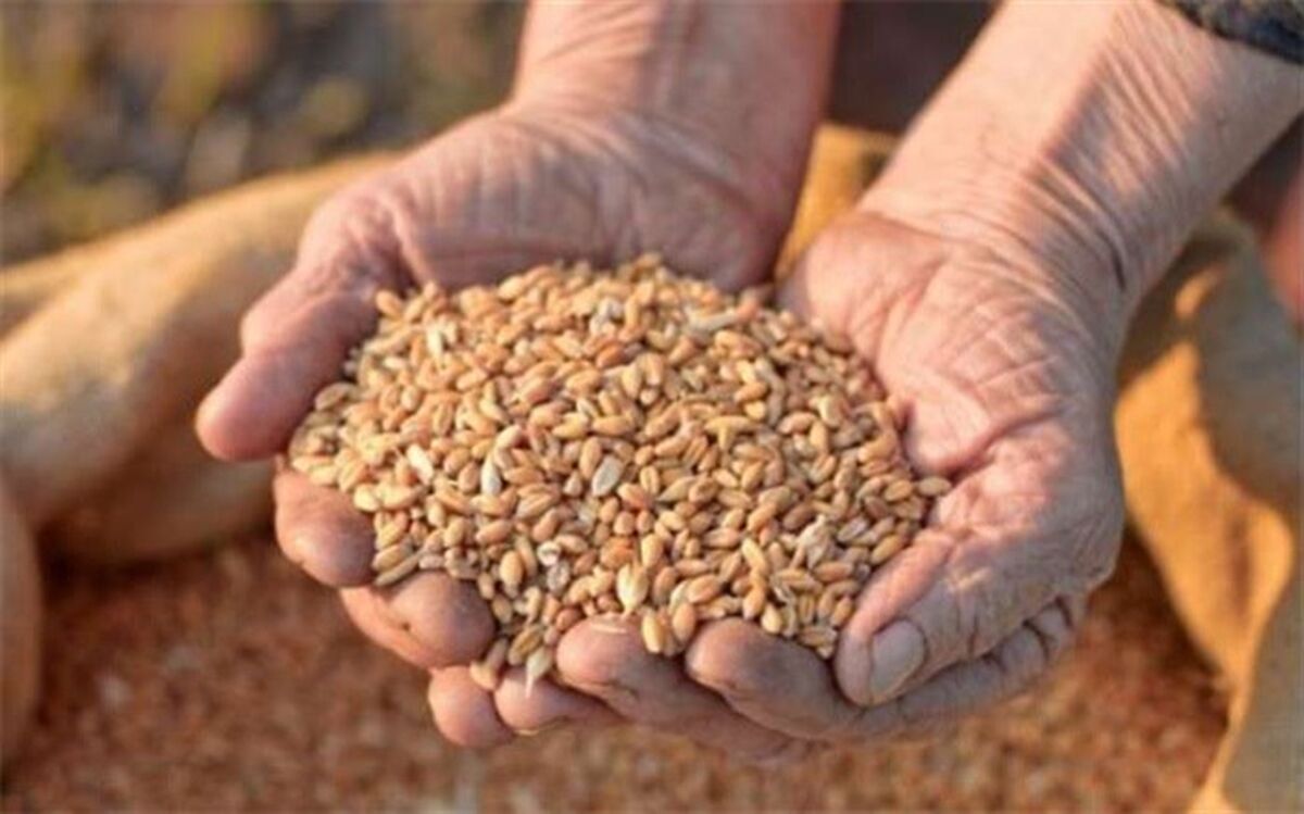 وابستگی کشور به واردات نهاده‌های دامی تا 10 سال آینده دو برابر می‌شود