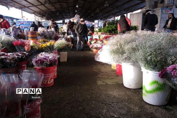 گشتی در بازار گل و گیاه امام رضا