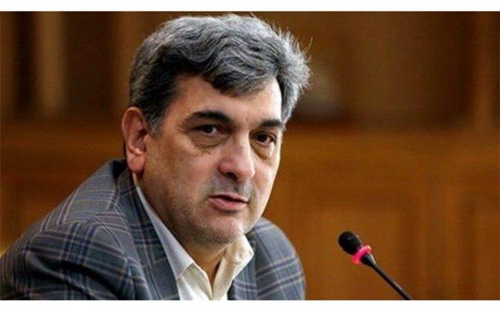 حناچی: "شارباغ" پروژه تبدیل فضای ناامن به قلمرو عمومی است