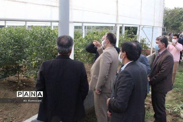 افتتاح چند پروژه‌ جهادکشاورزی در قائم‌شهر