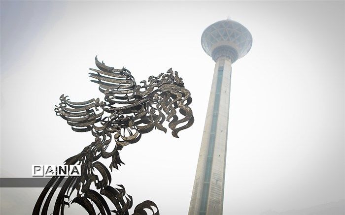 ۲ فیلم‌ساز مازندرانی کاندیدای ۱۷ رشته جشنواره فیلم فجر شدند