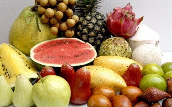 تعادل و تنوع برنامه غذایی از بایدهای دوران کرونا