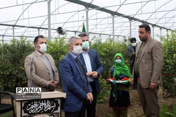 افتتاح ۳۱ گلخانه روستای خرماکلای در قائم‌شهر