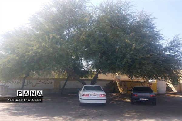 پرورش خلاقیت دانش‌آموزان در کنار پرورش گل و گیاه در چابهار