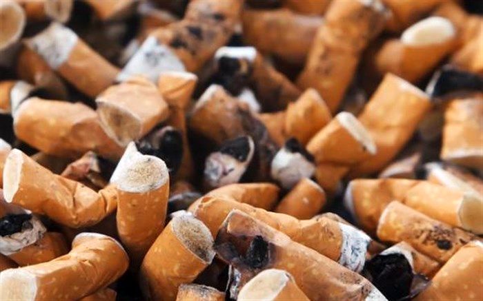 برگزاری وبینار آموزشی با هدف آگاهی از مضرات سیگار