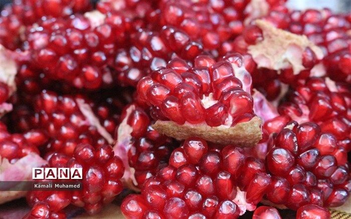 ۳۷ میراث‌فرهنگی ناملموس در فهرست آثار ملی ثبت شد