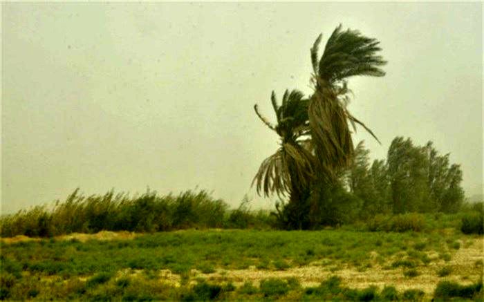 سرعت وزش باد در خاش به 54 کیلومتر بر ساعت رسید