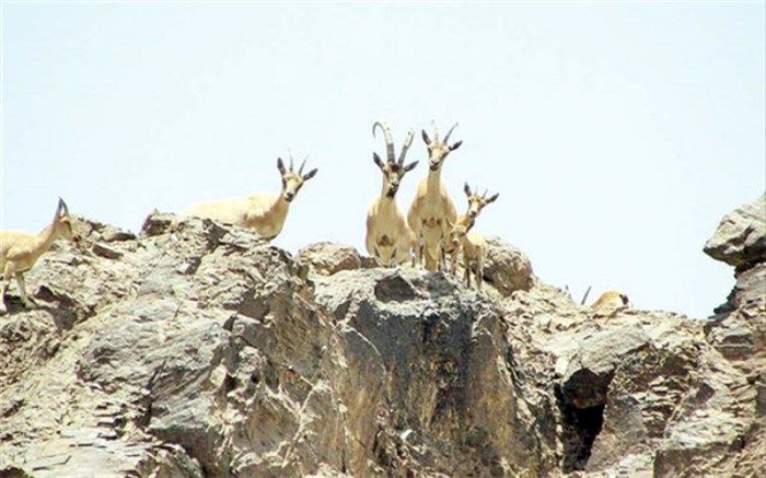 استقبال مناطق طبیعی از توریست‌ها