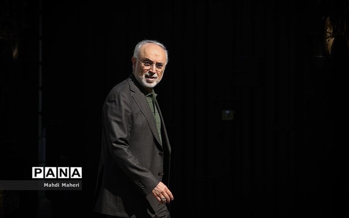 توضیح صالحی درباره سفر گروسی به تهران
