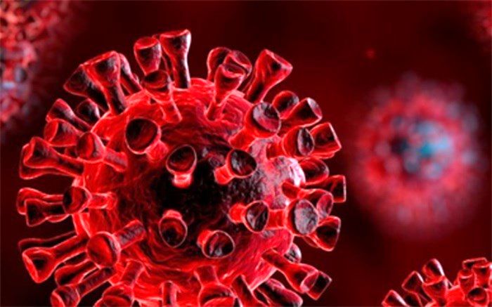 76 بیمار در بخش‌های کرونایی استان بوشهر بستری هستند