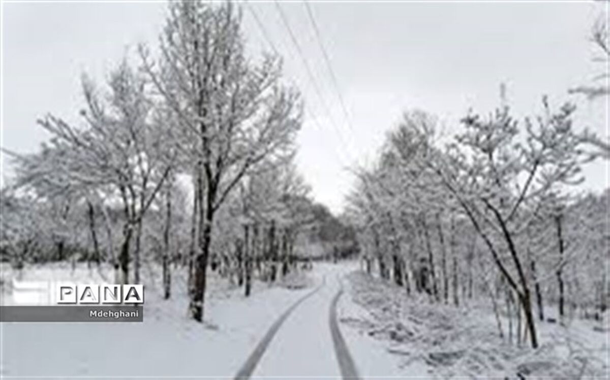 بارش اولین برف زمستانی در نایین+ فیلم