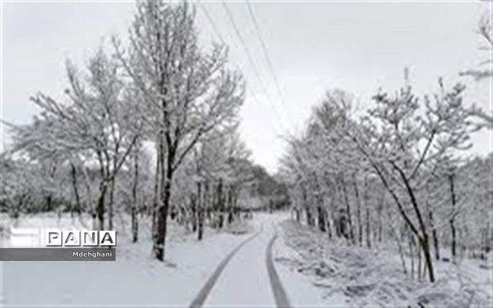 بارش اولین برف زمستانی در نایین+ فیلم
